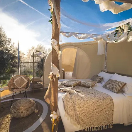 Bed and Breakfast San Francesco Relais Vada Exterior foto